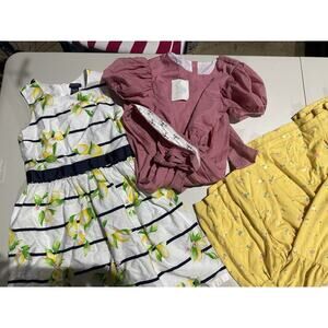 Lot of 9 Girls Dresses Sizes 10-12